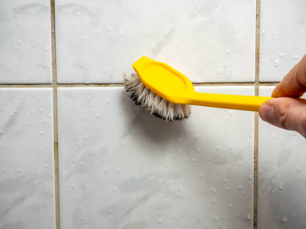 Best Mold Inspection  in Sheffield, OH